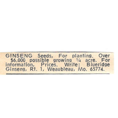 Blueridge Ginseng Weaubleau Missouri 1977 Ad AF6-S8