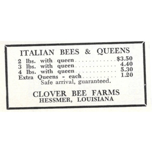 Italian Queens Clover Bee Farms Hessemer LA 1961 Magazine Ad AK6-S13