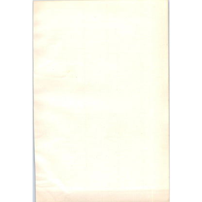 Sanderling Bird 1903 Original Color Engraving Plate Print AD8-B2