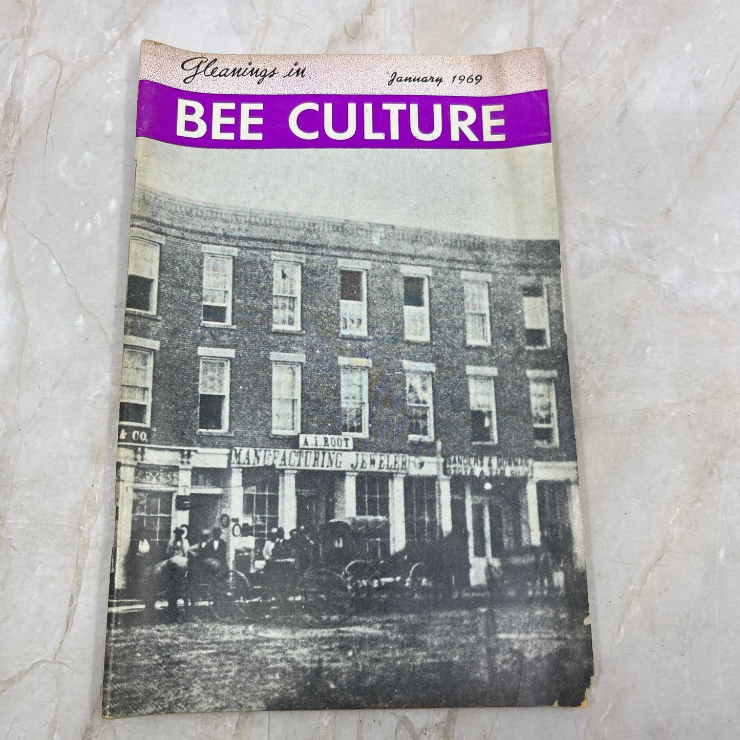 1969 Jan Gleanings in Bee Culture Magazine Bees Beekeeping Honey TD7