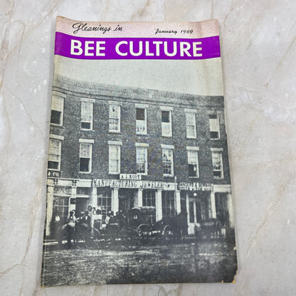 1969 Jan Gleanings in Bee Culture Magazine Bees Beekeeping Honey TD7
