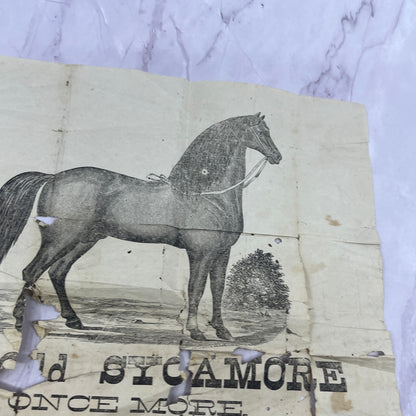 Parmer & Sons Livery & Stable Broadside Advertisement 9x12" Greenville AL AF9-4