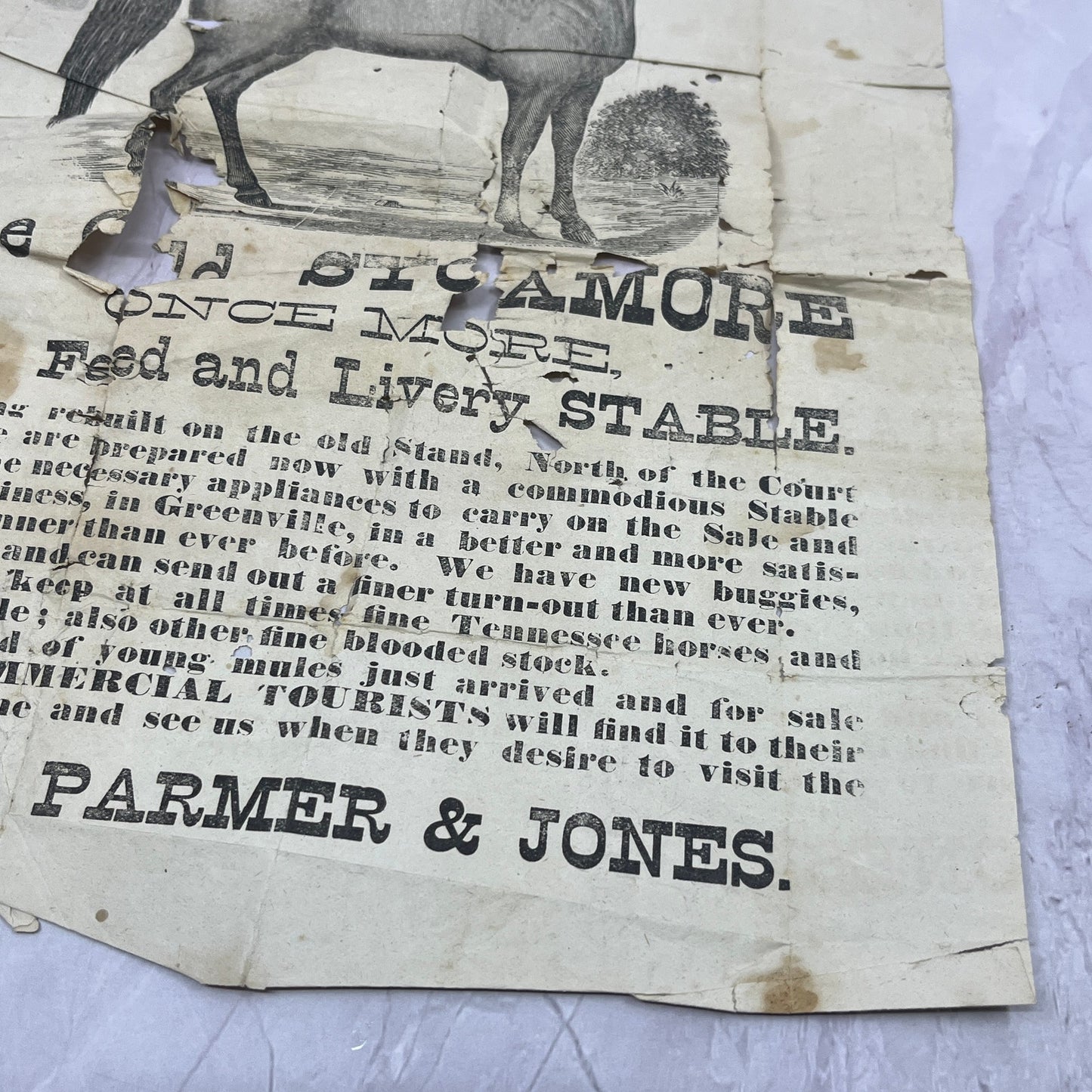 Parmer & Sons Livery & Stable Broadside Advertisement 9x12" Greenville AL AF9-4