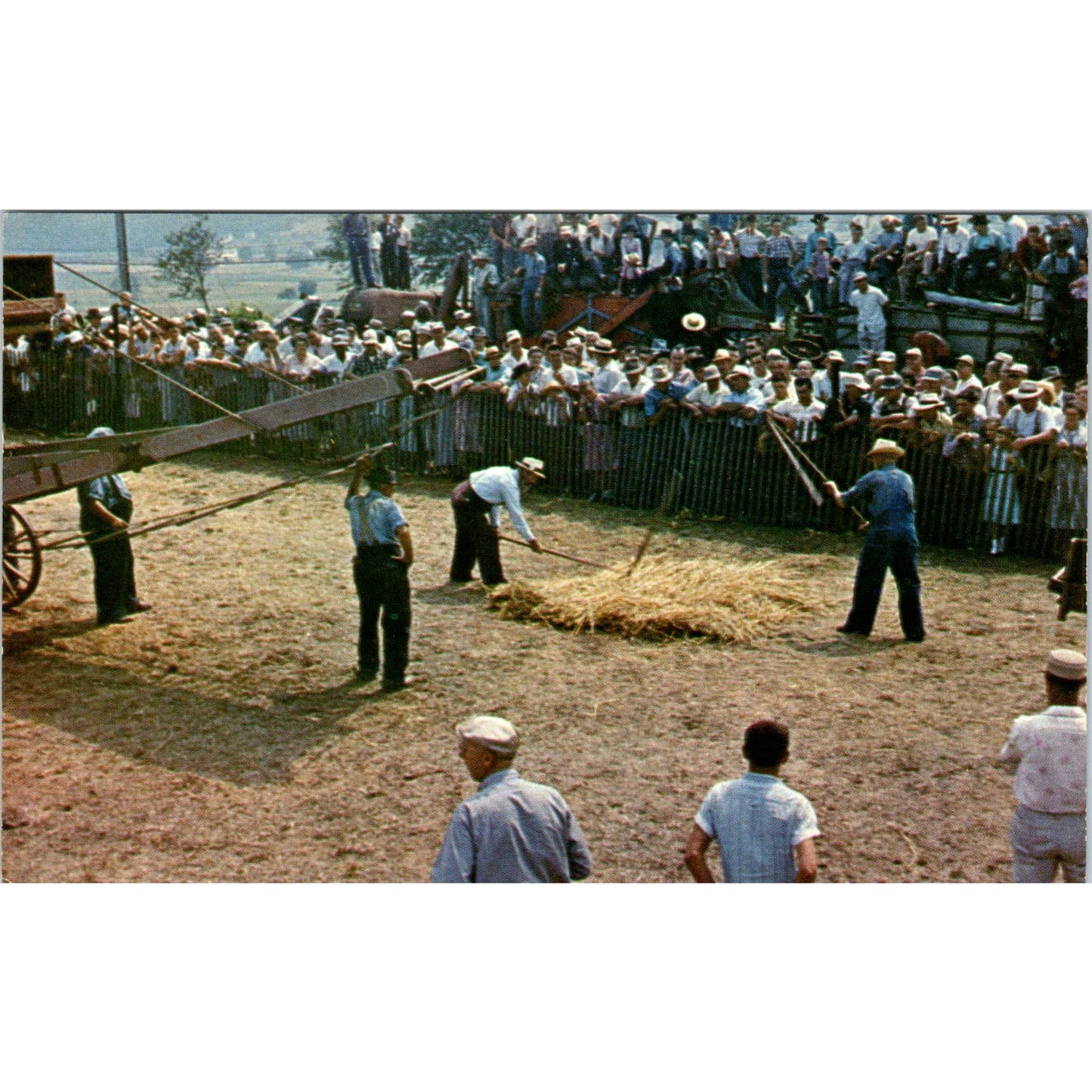 Amish Old Time Grain Flailing Pennsylvania Dutch Country Postcard PD7
