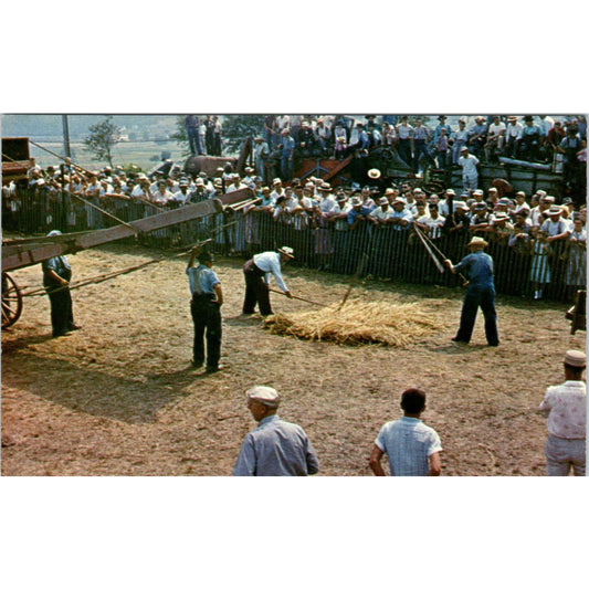 Amish Old Time Grain Flailing Pennsylvania Dutch Country Postcard PD7