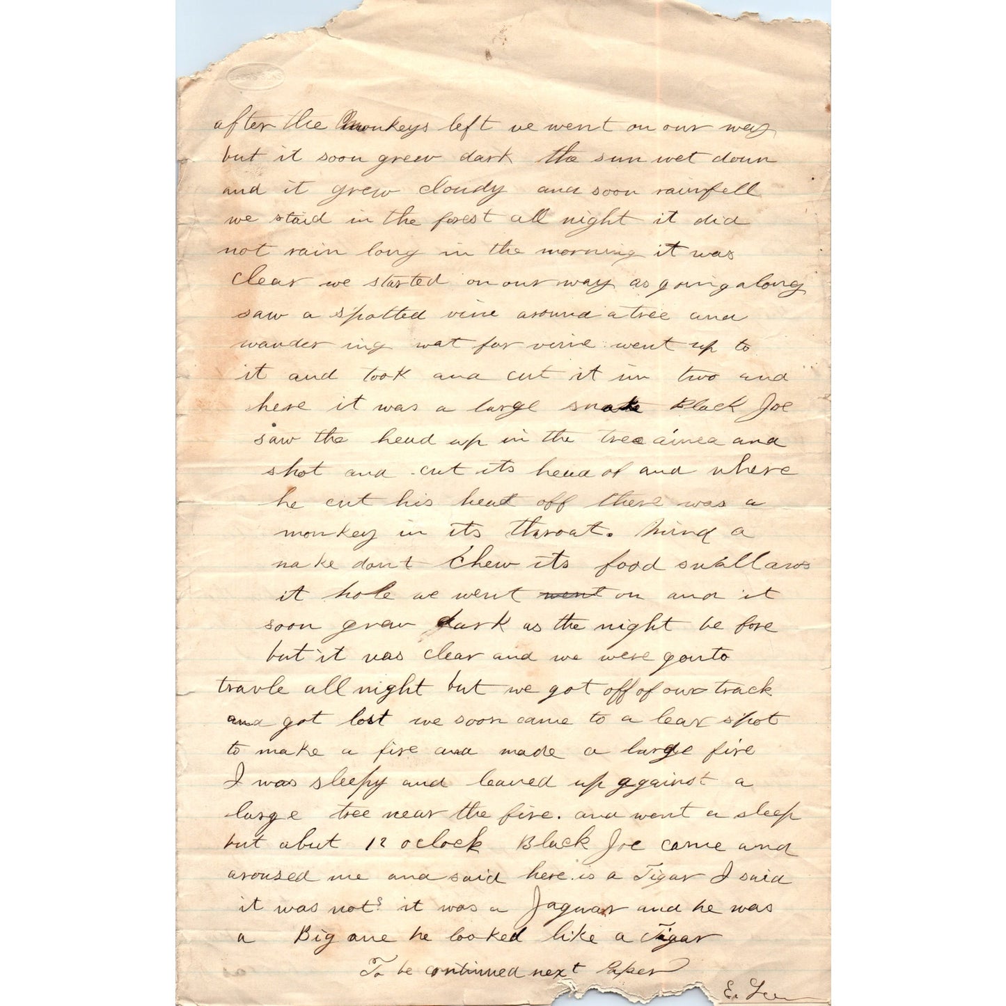 1878 Handwritten Letter Tom Higgins Adventure in Mexico - Soudersburg PA D20