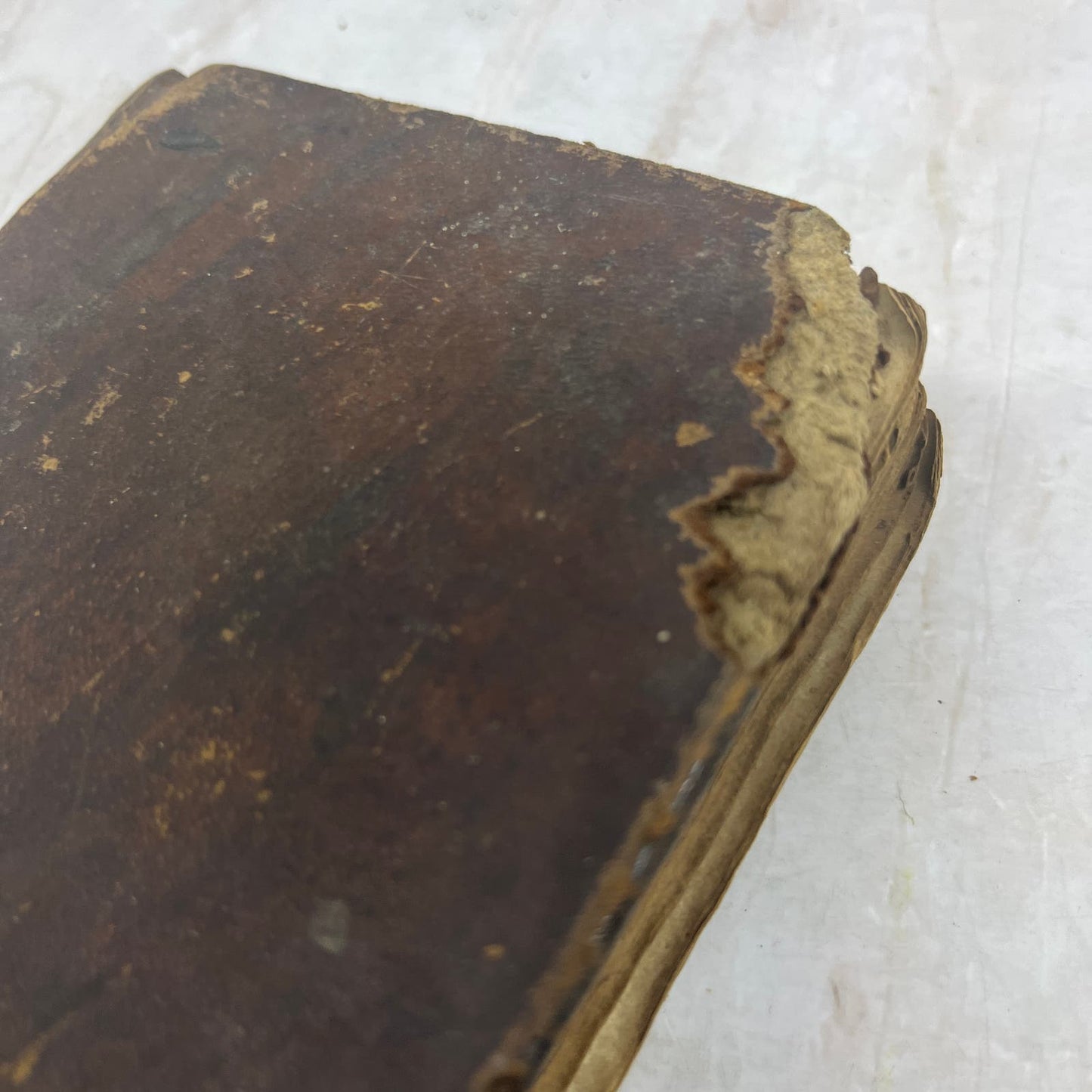 1794 The New Vade Mecum Young Clerk's Magazine Law Book Thomas Spencer TG8-B6