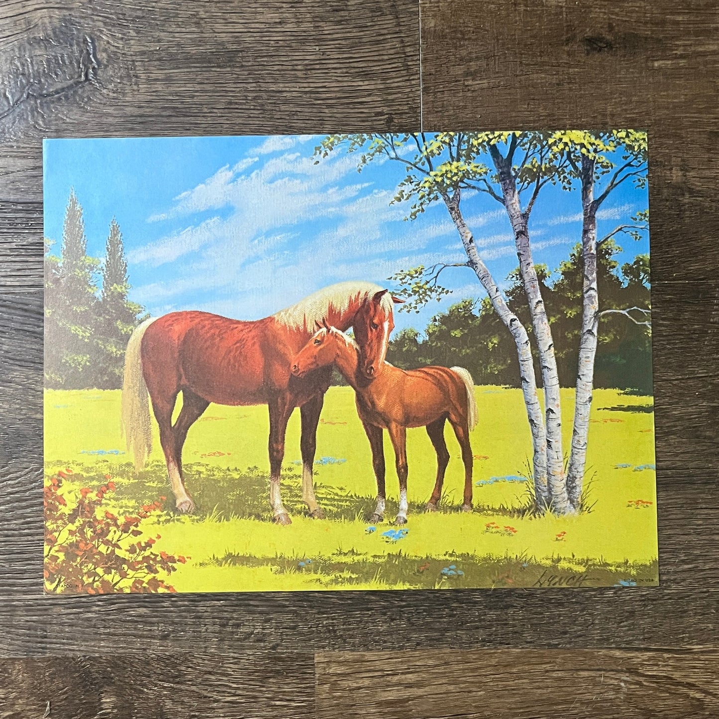 1970s Horse and Foal Summer Retro Kitsch Lithograph Art Print 9x12 V8