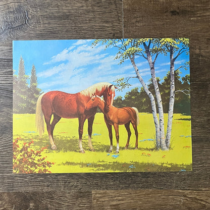 1970s Horse and Foal Summer Retro Kitsch Lithograph Art Print 9x12 V8