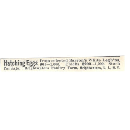 Brightwaters Poultry Farm Hatching Eggs Long Island NY 1924 Ad AG3-S9