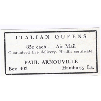 Italian Queens Paul Arnouville Hamburg LA 1964 Magazine Ad AB6-S15