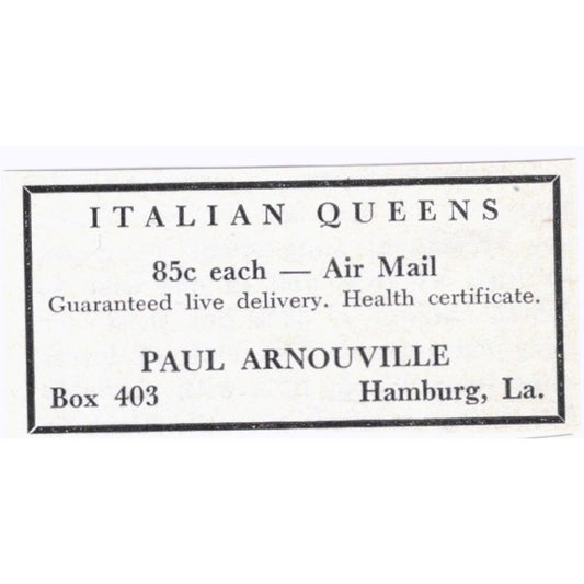 Italian Queens Paul Arnouville Hamburg LA 1964 Magazine Ad AB6-S15