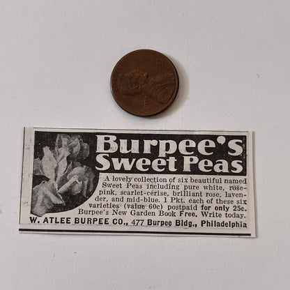 W. Atlee Burpee Co. Burpee's Sweet Peas Philadelphia PA 1936 Ad SAG4-M4