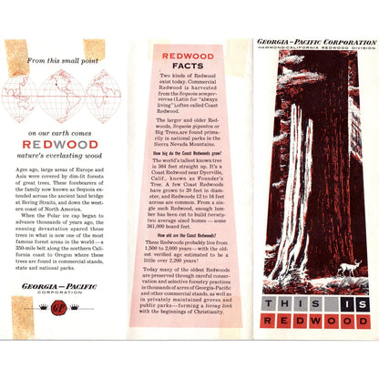 c1960 Georgia-Pacific Redwood Road Show Brochure Fold Out AE2