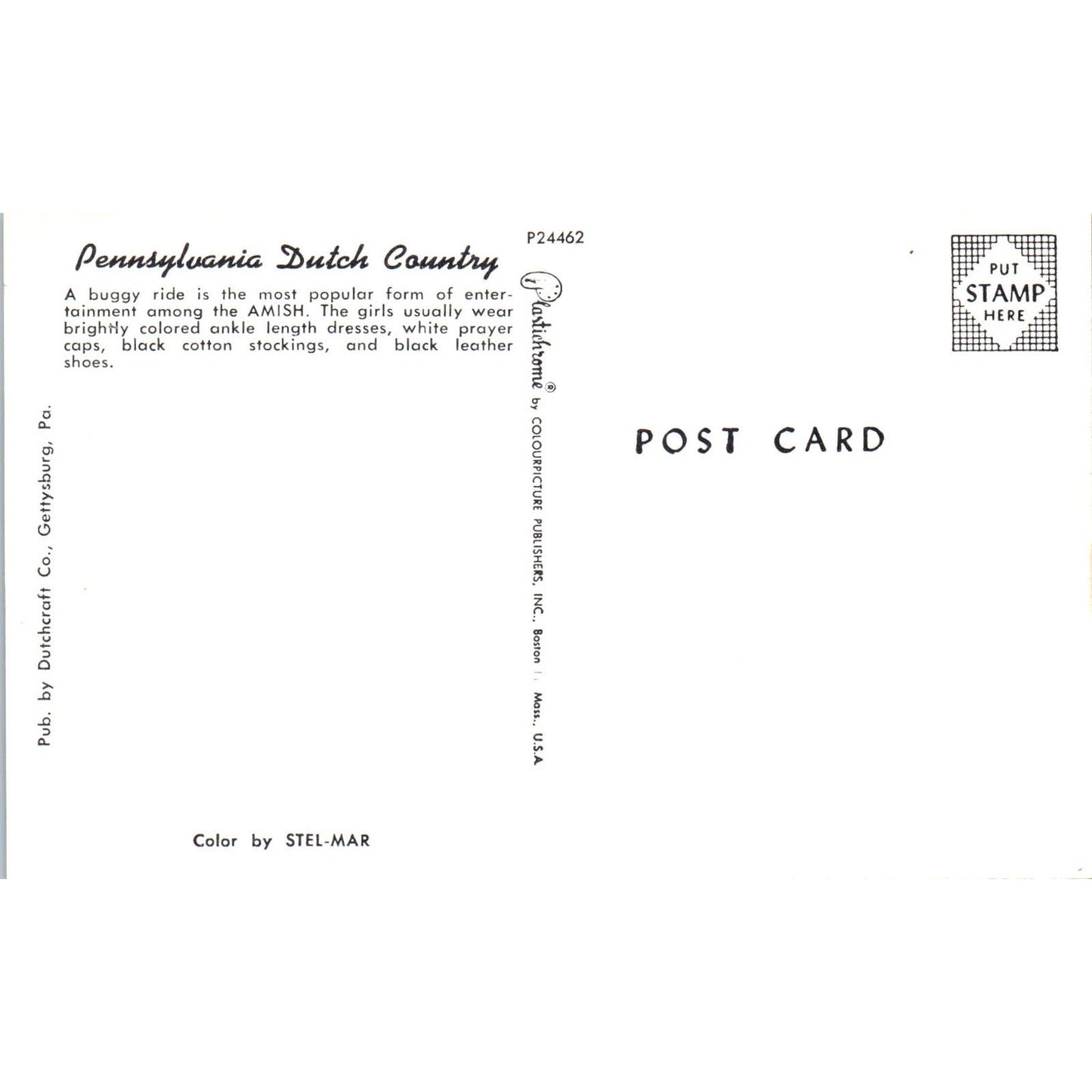 Amish Girls on Buggy Ride Pennsylvania Dutch Country Postcard PD8