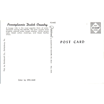 Amish Girls on Buggy Ride Pennsylvania Dutch Country Postcard PD8