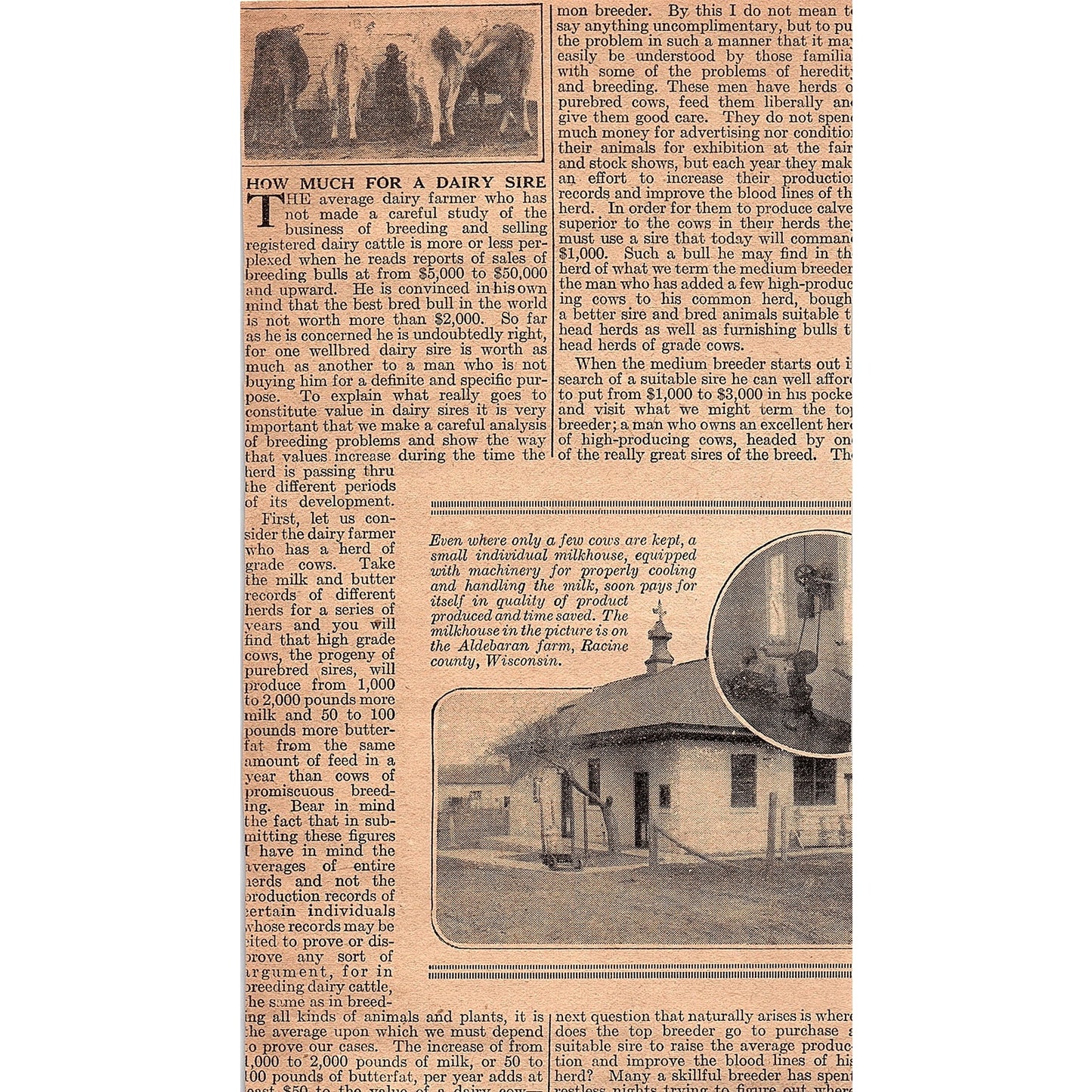 How I Make Big Money Out of Ornery Horses J.A. Butler Jesse Beery 1920 Ad AG2-6