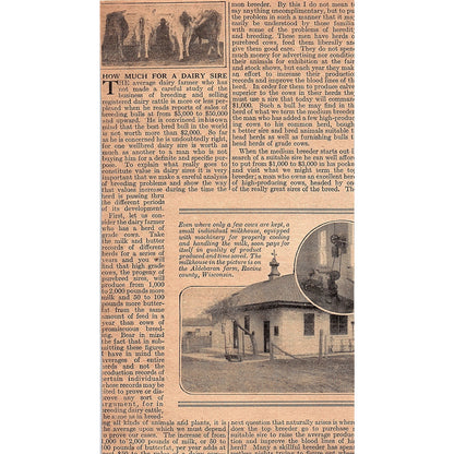 How I Make Big Money Out of Ornery Horses J.A. Butler Jesse Beery 1920 Ad AG2-6
