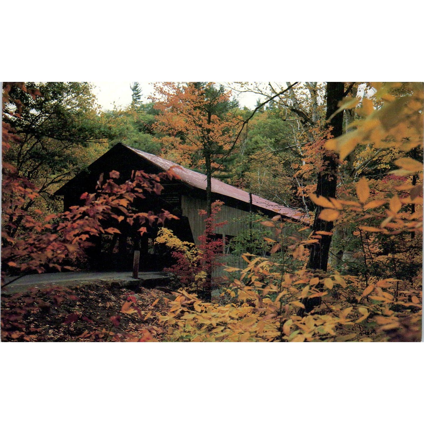 Albany Bridge Kancamagus Wilderness New Hampshire Covered Bridge Postcard PB13