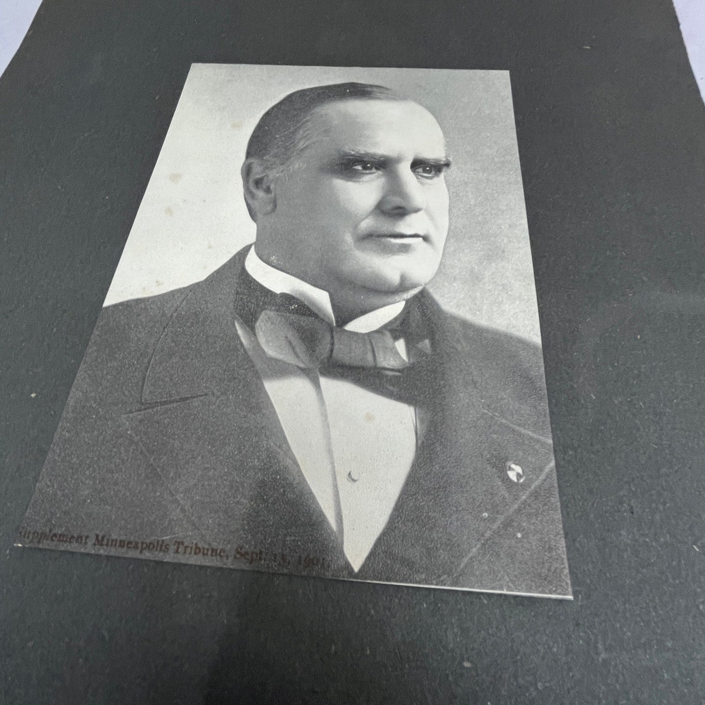 William McKinley Portrait 11x14" Art Print V21