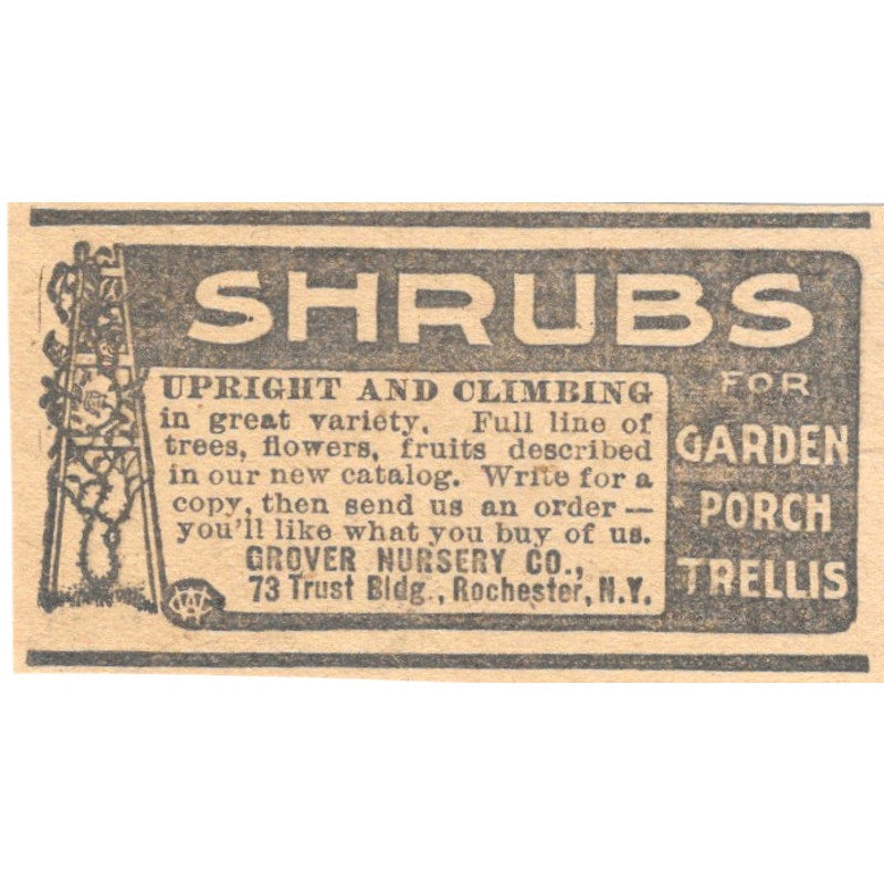 Grover Nursery Co Shrubs Rochester NY 1905 Magazine Ad AF1-NES3