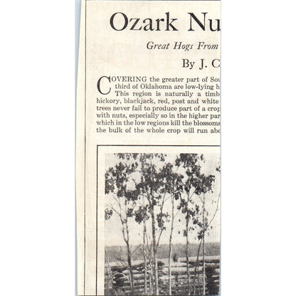 The Edwards Mfg Co Cincinnati OH Steel Shingles 1913 Magazine Advert AE7-N7