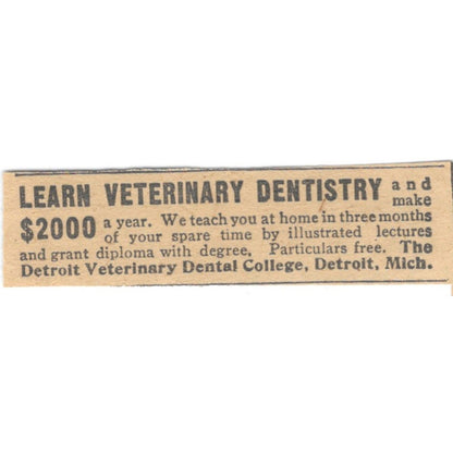Detroit Veterinary Dental College MI 1910 Magazine Ad AF1-SS9