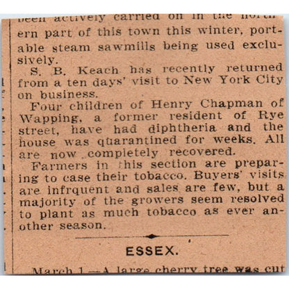The Case, Lockwood & Brainard Co Printing Hartford 1901 Newspaper Ad AD8-HS7