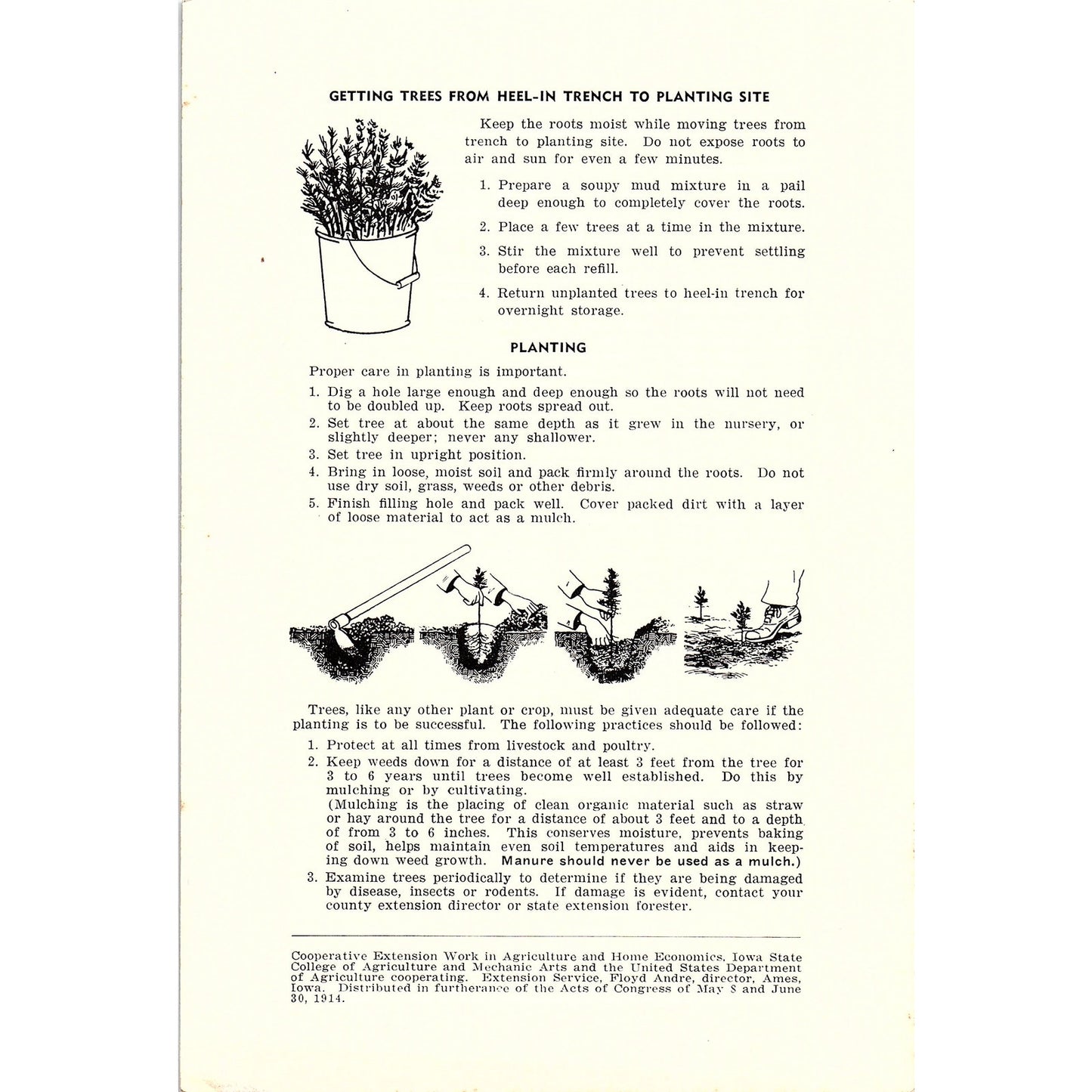 Tree Planting on the Farm 1950 Ames Iowa Farm Bulletin TK2-XB6