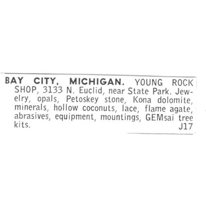 Young Rock Shop GEMsai Tree Bay City Michigan 1972 Ad AF8-S24