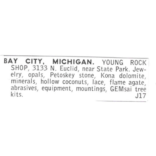 Young Rock Shop GEMsai Tree Bay City Michigan 1972 Ad AF8-S24