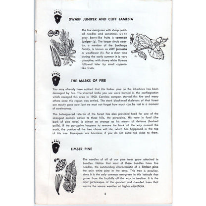 1971 Bear Lake Nature Trail Rocky Mountain National Park Travel Booklet AD8-R8