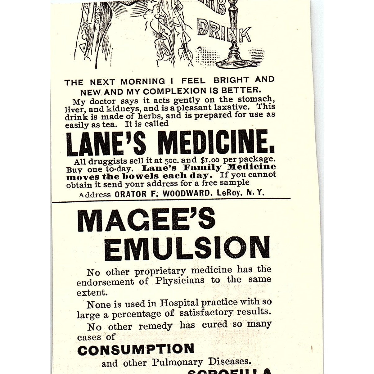 D.M. Ferry & Co Ferry's Seeds Detroit MI 1892 Ad AG2-M12