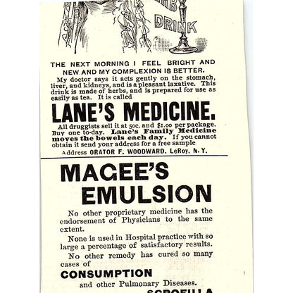 D.M. Ferry & Co Ferry's Seeds Detroit MI 1892 Ad AG2-M12