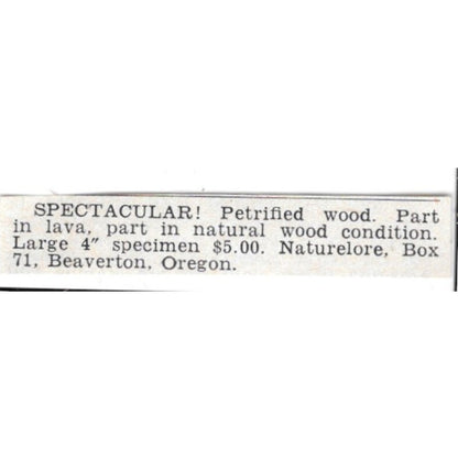 Petrified Wood - Naturelore, Beaverton Oregon 1955 Ad AG1-S6