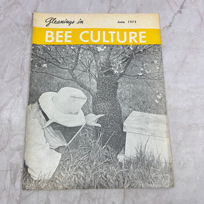 1973 June - Gleanings in Bee Culture Magazine - Bees Beekeeping Honey M33