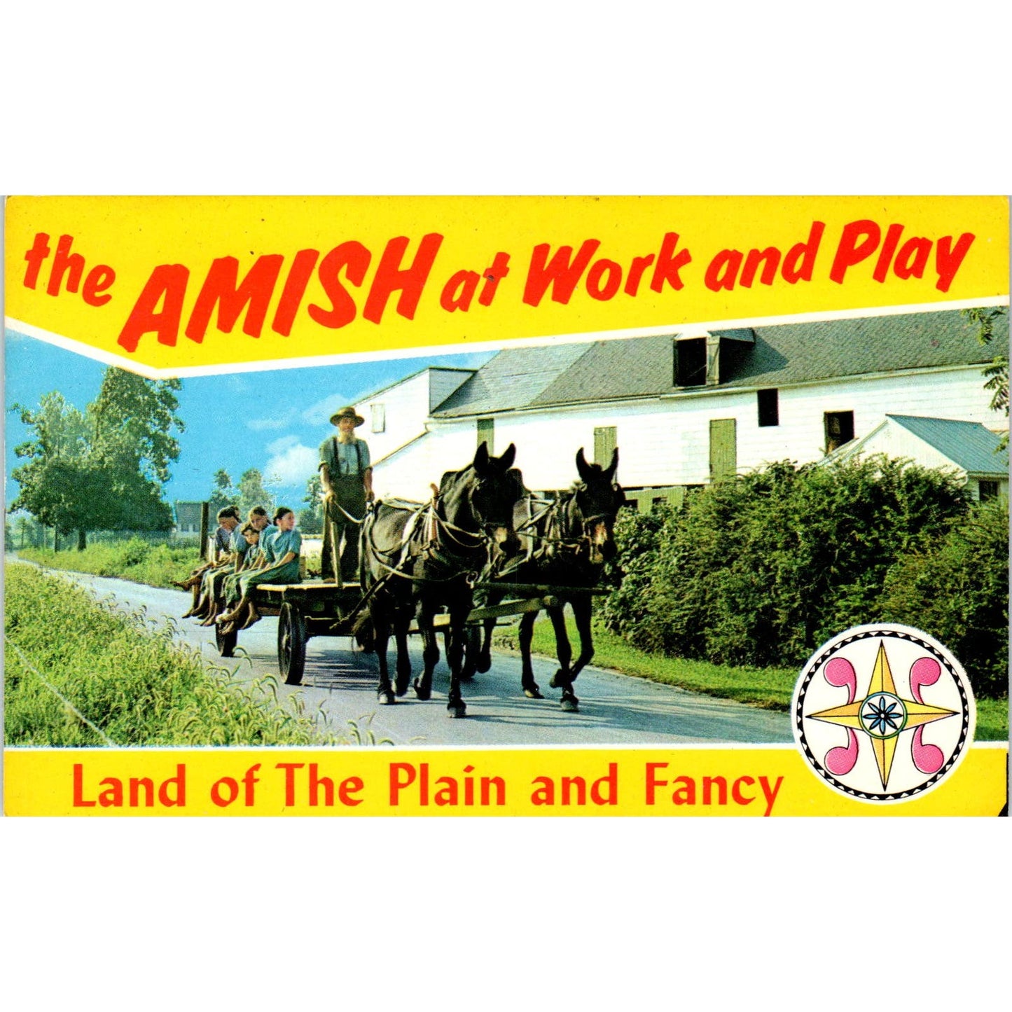 Amish Farmer Driving His Wagon Home Pennsylvania Dutch Country Postcard PD8