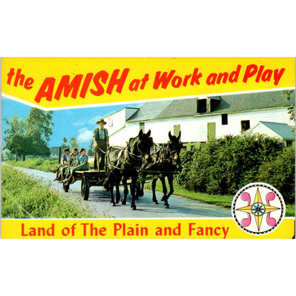 Amish Farmer Driving His Wagon Home Pennsylvania Dutch Country Postcard PD8