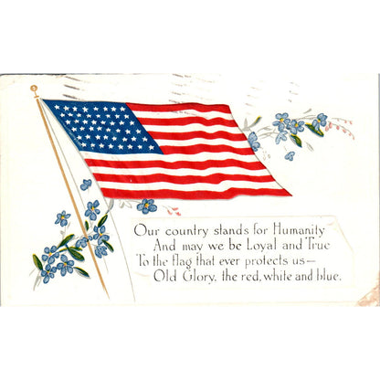 1918 4th of July WWI Washington D.C. Vintage Postcard PD1