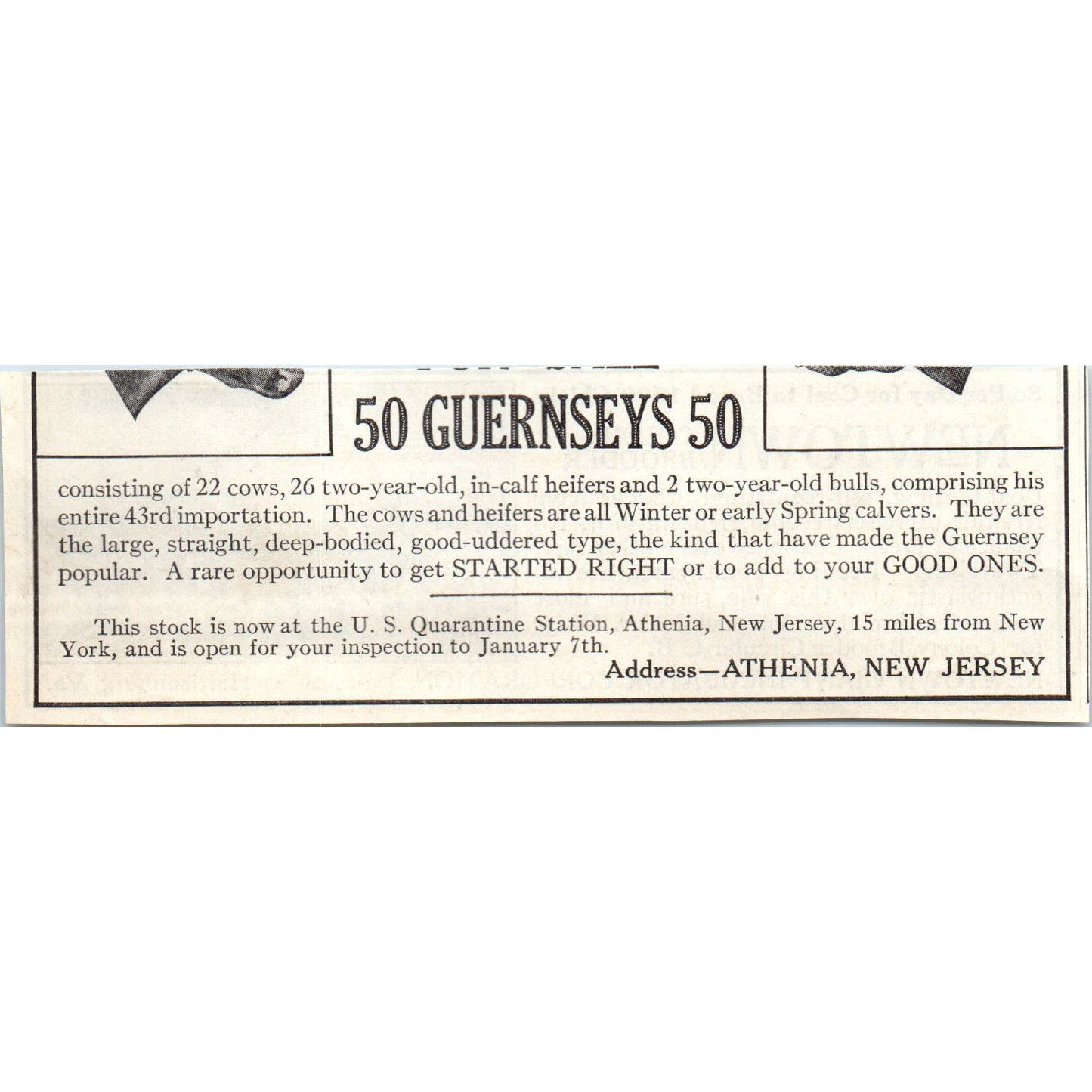 Newton Giant Incubator Co Harrisonburg VA 1913 Magazine Advertisement AE7-N7