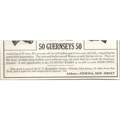 Newton Giant Incubator Co Harrisonburg VA 1913 Magazine Advertisement AE7-N7