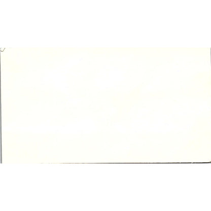 Mel's Garden Service Light Hauling & Landscaping Houston Business Card SSB4-B13