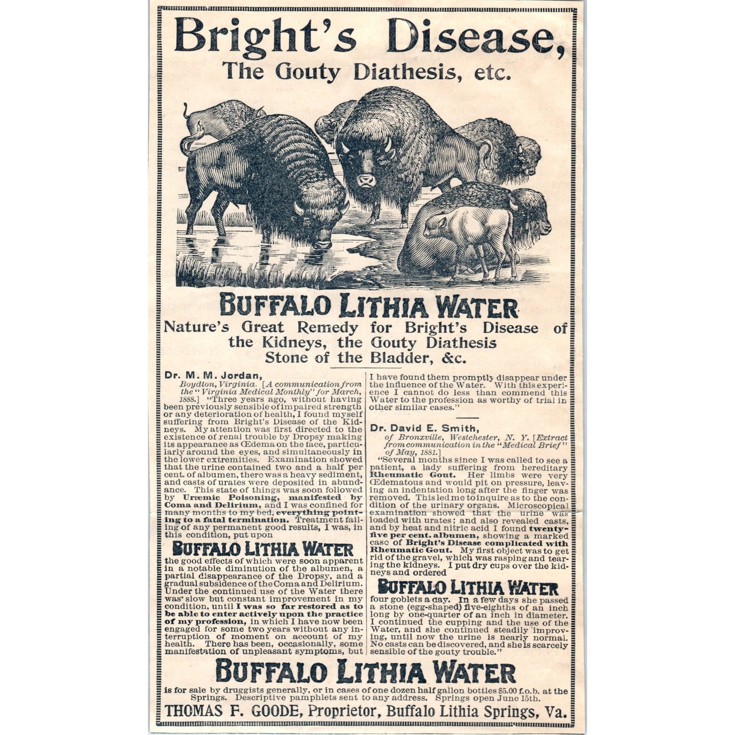 Buffalo Lithia Water Bright's Disease Remedy Thomas F. Goode VA 1894 Ad AB6-SL1