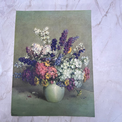 Phlox and Larkspur by Carle J Blenner Vintage Art Print Lithograph 9x12 FL6-3