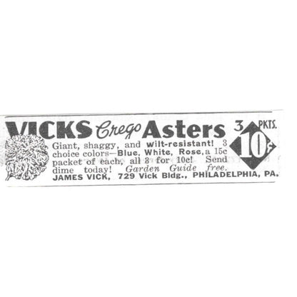 Vicks Crego Asters Garden Guide James Vick Philadelphia PA 1936 Ad SAG4-S12