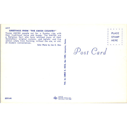 Young Amish on a Sunday Ride Pennsylvania Dutch Country Vintage Postcard PD5