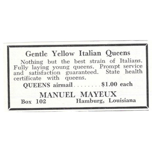 Gentle Yellow Italian Queens Manuel Mayeux Hamburg LA 1961 Magazine Ad AK6-S13