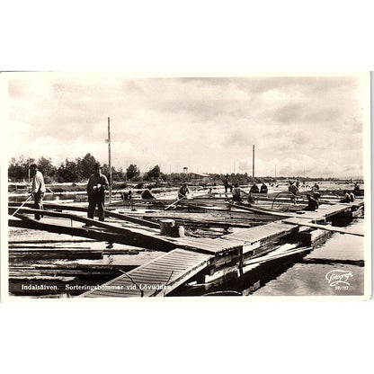 Indalsälven Sortering Bommar Vid Lövudden RPPC German Antique Postcard PE9