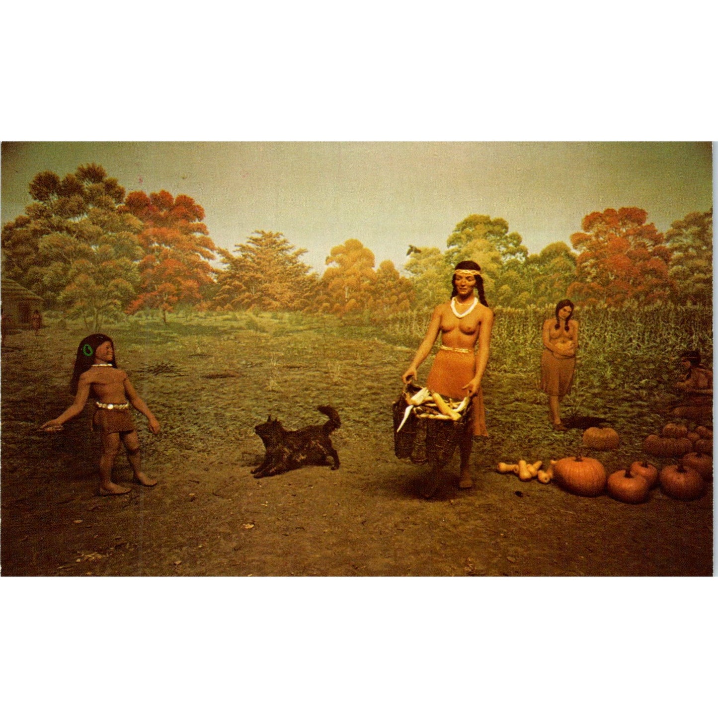 Cincinnati Museum of Natural History Fort Ancient Indians Vintage Postcard PE4