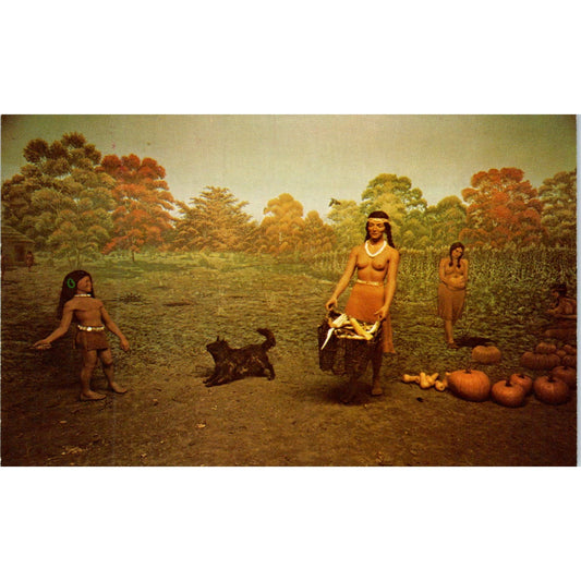 Cincinnati Museum of Natural History Fort Ancient Indians Vintage Postcard PE4